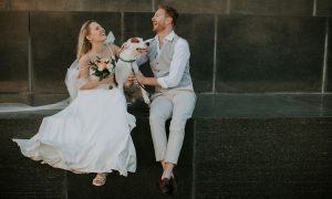 Ihr Hundesitter für die Hochzeit in Basel